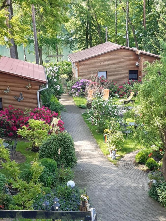 Monikas Gaestehaeuser Seeblick Himmelpfort Hotel Екстериор снимка